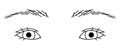 woman eyes, double eyelids, small eyes ,outline illustration Royalty Free Stock Photo